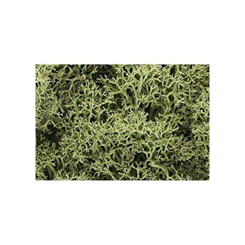 HUINA HN1598